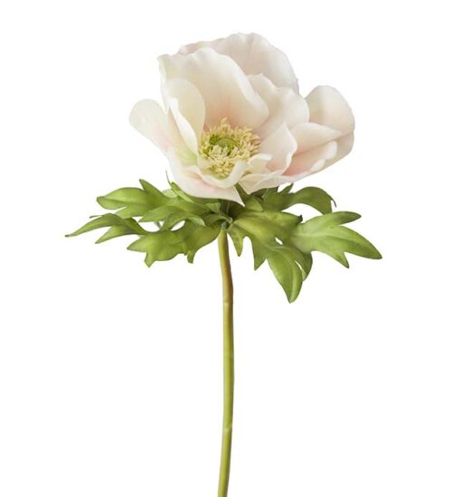 Konstväxt av en Anemon i rosa från Mr Plant.