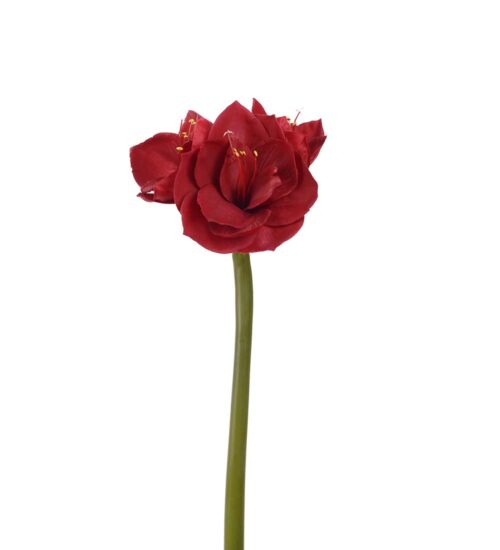 Konstväxt Amaryllis röd